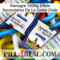 Kamagra 100Mg Effets Secondaires De La Gelée Orale 12